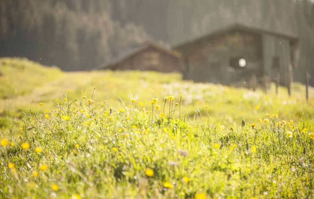 Pension Daniel Lech am Arlberg Exteriör bild