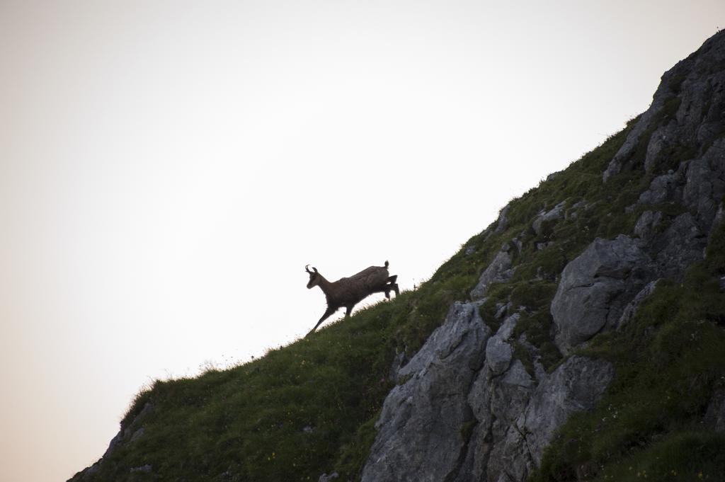 Pension Daniel Lech am Arlberg Exteriör bild